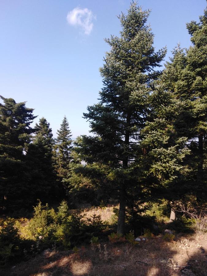 Odos Oneiron Appartement Arachova Buitenkant foto